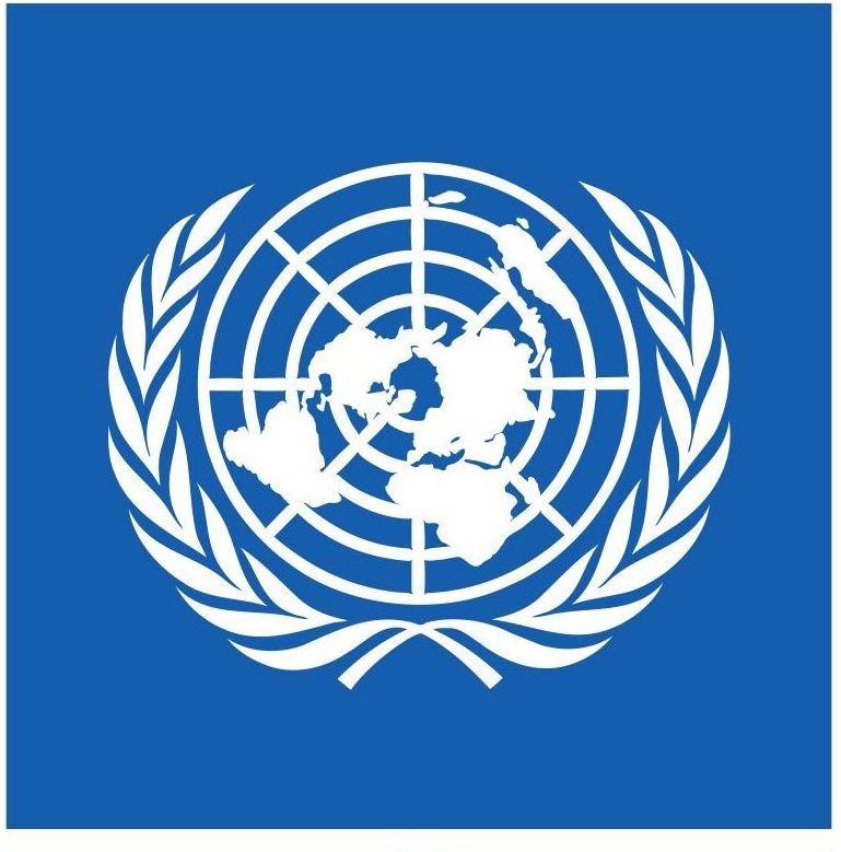 UNDP Gandeng Citibank Buat Program Akselerator Start Up, "Youth Co:lab"