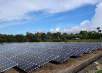 PLTS Jadi Prioritas Utama Pengembangan Energi Masa Datang, akan Ada Insentif Khusus