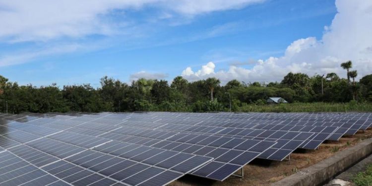 PLTS Jadi Prioritas Utama Pengembangan Energi Masa Datang, akan Ada Insentif Khusus