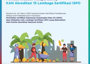 Perkuat Kelapa Sawit, KAN Akreditasi 15 Lembaga Sertifikasi ISPO