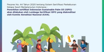 Perkuat Kelapa Sawit, KAN Akreditasi 15 Lembaga Sertifikasi ISPO