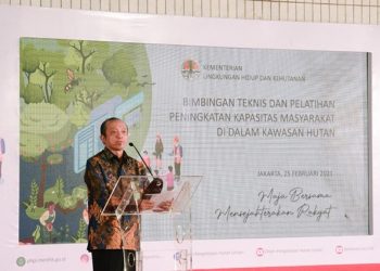 Kementerian KLHK Latih Masyarakat Kembangkan HHBK Secara Daring