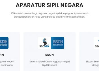 Portal SSCASN