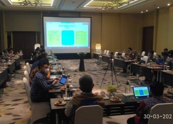 BPKP: Hitungan Biaya Satu Data Vaksinasi Covid-19 dan Integrasinya Harus Jelas
