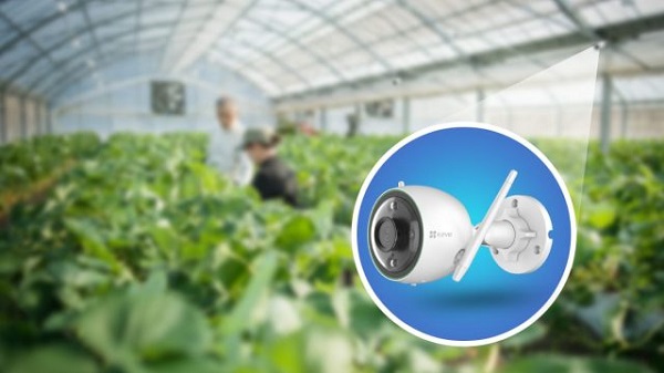 EZVIZ C3N, Kamera Pintar untuk Pantau Tanaman Hidroponik
