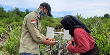 Sensor IoT di area Konservasi Laskar Taman Nasional Mangrove Park Bontang (Foto: Dokumentasi Microsoft Indonesia)