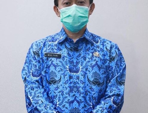 Aplikasi Pendaftaran Vaksinasi Tangerang Banyak Diminati Warga