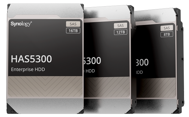 Synology HAS5300