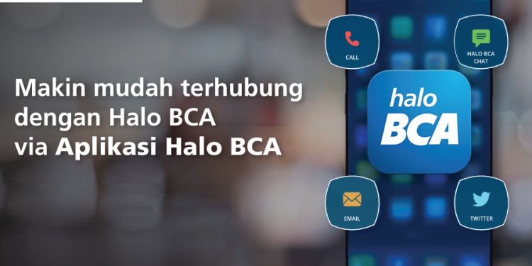 HaloBCA
