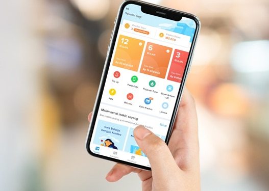 Jalin Phoenix Holding, Kredivo Rambah Pasar Vietnam