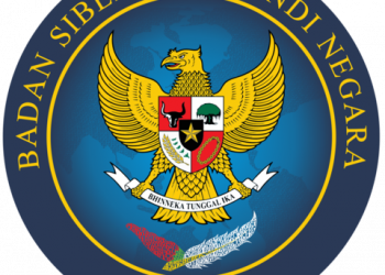 Badan Siber dan Sandi Negara (BSSN)