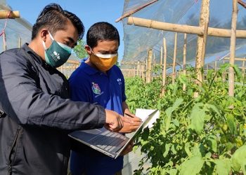 Teknologi Cloud Dukung Sistem Pertanian Berbasis Data