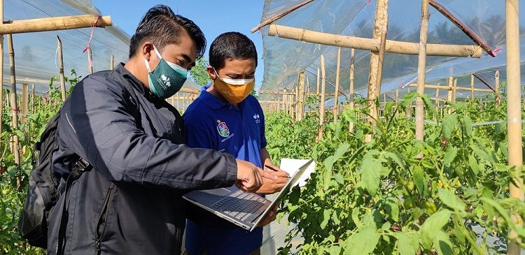 Teknologi Cloud Dukung Sistem Pertanian Berbasis Data