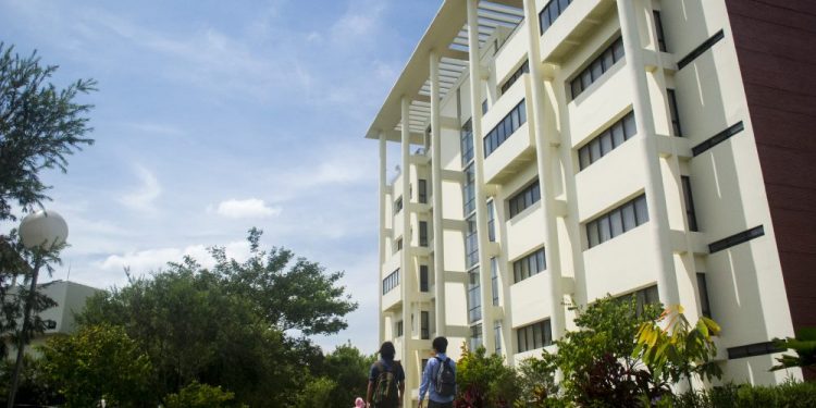 Agar UMKM Makin Berkembang, Vokasi UI Bagikan Pengetahuan ‘Branding’