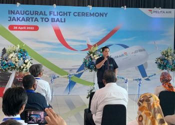 Pelita Air Resmi Layani Penerbangan Domestik