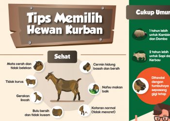 Cari Hewan untuk Kurban yang Bebas Penyakit Kuku dan Mulut? Bisa Pakai Aplikasi Ini