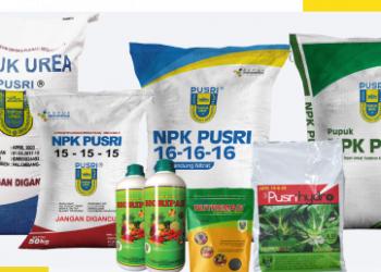 Ini Pentingnya Pupuk Ber-SNI Bagi Peningkatan Produksi Pertanian