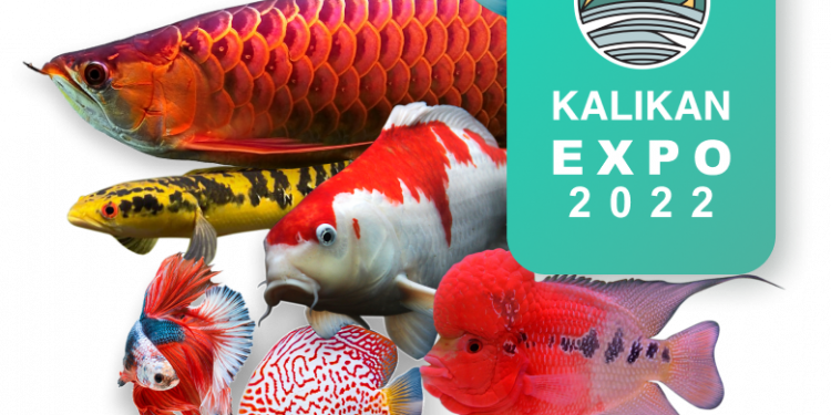 Digitalisasi Dukung Produktivitas UMKM Ikan Hias di Indonesia