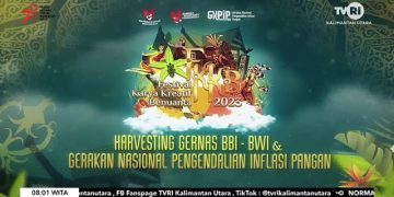 Harvesting Gernas BBI