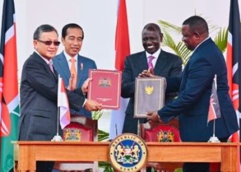 Presiden Jokowi Tekankan Pentingnya Kemitraan Negara Berkembang