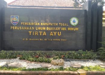 Perumda Tirta Ayu