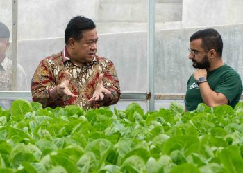 Beleaf Bekerja sama dengan Pemkab Dairi Sumut untuk pengembangan hasil produktivitas pertanian (Foto: Beleaf Farms)