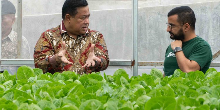 Beleaf Bekerja sama dengan Pemkab Dairi Sumut untuk pengembangan hasil produktivitas pertanian (Foto: Beleaf Farms)