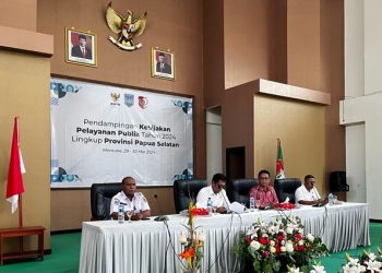 KemenPANRB Berikan Pendampingan Peningkatan Pelayanan Publik Papua Selatan