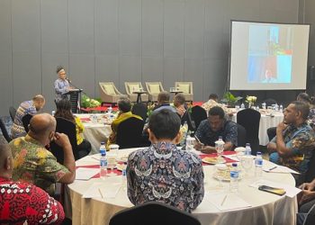 Kementerian PANRB Dorong Integrasi Layanan Publik Digital Wilayah Papua