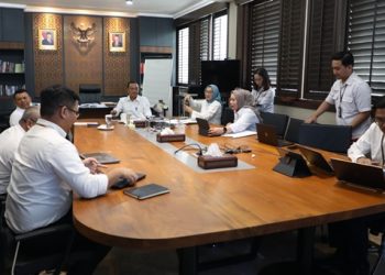 Menteri PANRB Bersama Mensesneg Bahas Strategi Percepatan Transformasi Digital Pemerintah