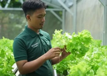 Lewat Program CSR Sharp Hydro Heroes, Sharp Sukses Lahirkan Petani Muda Berkelanjutan