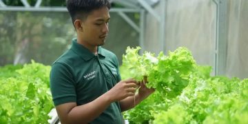 Lewat Program CSR Sharp Hydro Heroes, Sharp Sukses Lahirkan Petani Muda Berkelanjutan