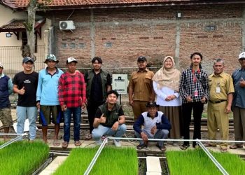Telkom Innovillage Hadirkan Alat Monitoring Cerdas Berbasis IoT untuk Bantu Pemeliharaan Bibit Padi Kering