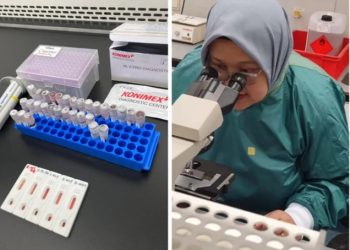 BRIN Kembangkan Alat Deteksi Dini Penyakit Zoonosis Melalui Tikus