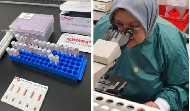 BRIN Kembangkan Alat Deteksi Dini Penyakit Zoonosis Melalui Tikus