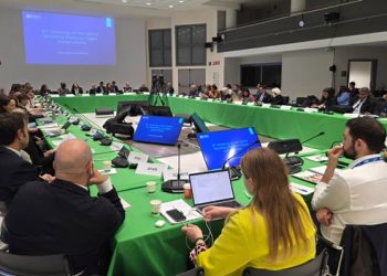 Hadiri Sidang OECD, Pemerintah Tegaskan Komitmen Transparansi Melalui Digitalisasi
