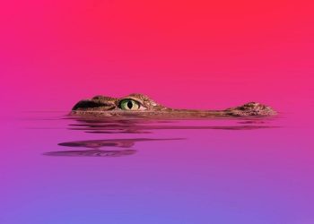 Spam SEO Mengintai, Perusahaan Disarankan Cek Perlindungan Situs Web