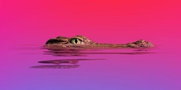 Spam SEO Mengintai, Perusahaan Disarankan Cek Perlindungan Situs Web