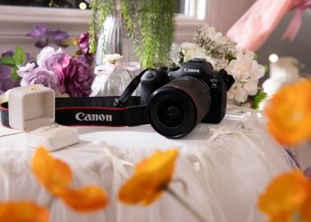 Bidik Kreator Profesional, Canon Hadirkan EOS R6 Mark III Didukung Mode Open Gate 7K
