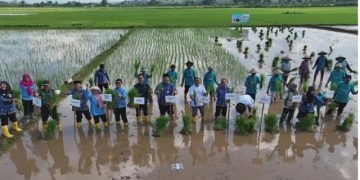 BRIN Dorong Hilirisasi Riset Energi dan Pertanian Pesisir Jepara