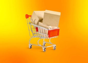 83% Pebelanja Online di Indonesia Andalkan Kewaspadaan Sendiri Untuk Kenali Penipuan