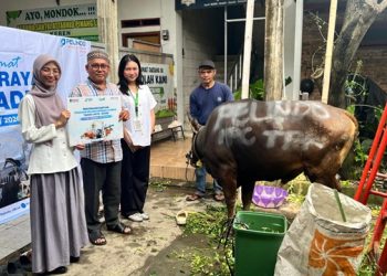 Tebar Kepedulian Sosial, IPC TPK Salurkan 26 Hewan Kurban di Berbagai Wilayah Operasional