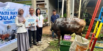 Tebar Kepedulian Sosial, IPC TPK Salurkan 26 Hewan Kurban di Berbagai Wilayah Operasional