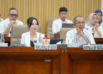 BP Batam Berkomitmen Terus Perkuat Infrastruktur untuk Daya Tarik Investasi