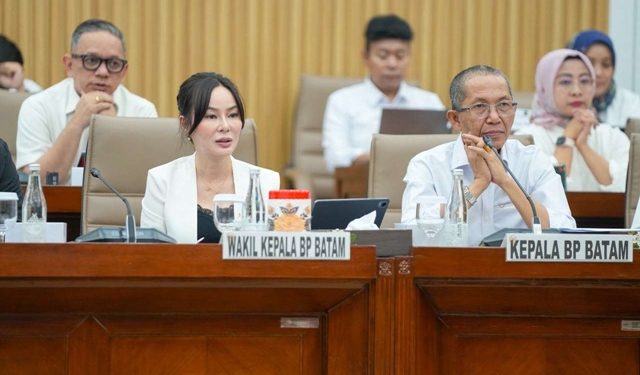 BP Batam Berkomitmen Terus Perkuat Infrastruktur untuk Daya Tarik Investasi