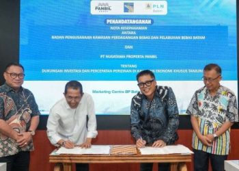 BP Batam Percepat Investasi KEK Tanjung Sauh, Perkuat Pasokan Listrik untuk Kawasan Industri
