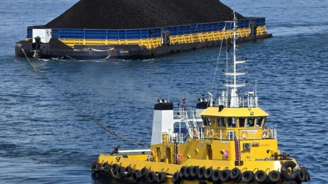 Dukung Pasokan Energi Nasional, PELNI Angkut Lebih 335 Ribu Ton Batubara pada Semester I 2026