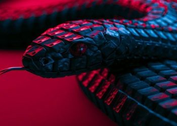 Terungkap, Ini Entitas yang Disasar Malware Goserpent Baru