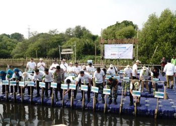 IPC TPK Dukung Rehabilitasi Mangrove Nasional Melalui Kolaborasi TJSL “The North Green Movement”