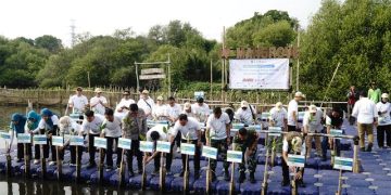 IPC TPK Dukung Rehabilitasi Mangrove Nasional Melalui Kolaborasi TJSL “The North Green Movement”